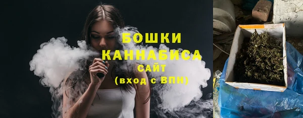 ПСИЛОЦИБИНОВЫЕ ГРИБЫ Аркадак