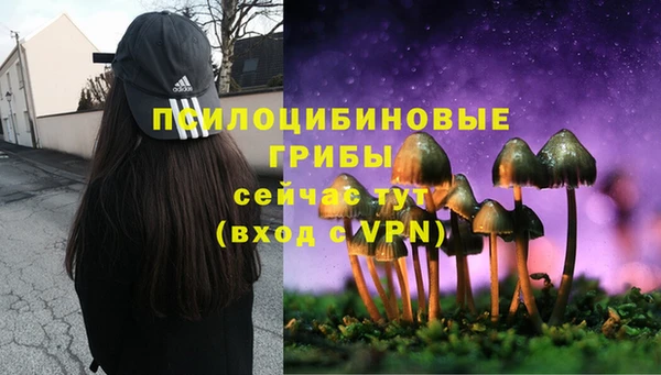 винт Арсеньев