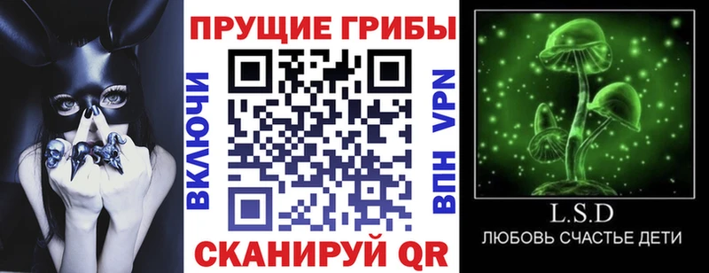 Псилоцибиновые грибы Magic Shrooms  где продают   Нижние Серги 